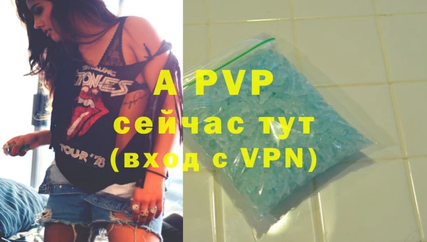 ПСИЛОЦИБИНОВЫЕ ГРИБЫ Гусиноозёрск
