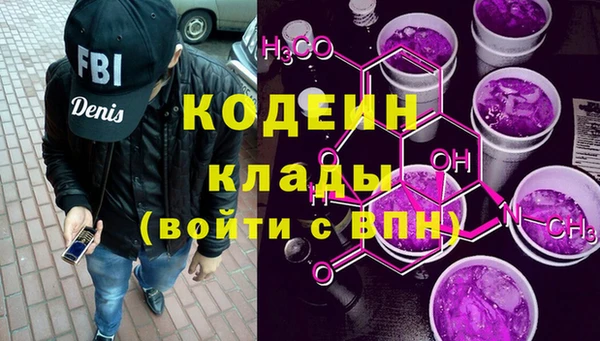 стаф Гусь-Хрустальный
