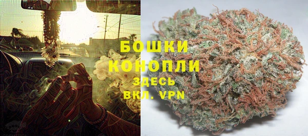 стаф Гусь-Хрустальный