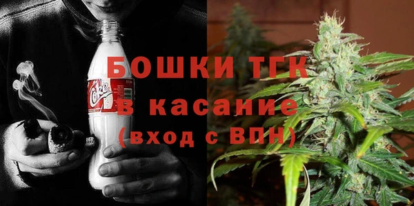 стаф Гусь-Хрустальный
