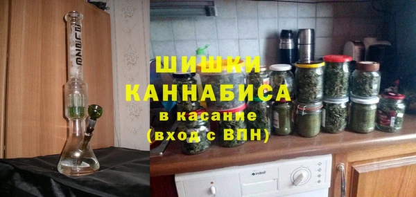 стаф Гусь-Хрустальный