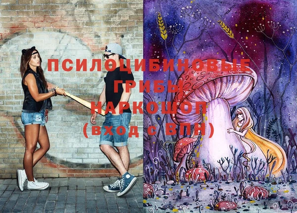 стаф Гусь-Хрустальный