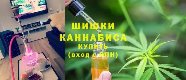 стаф Гусь-Хрустальный