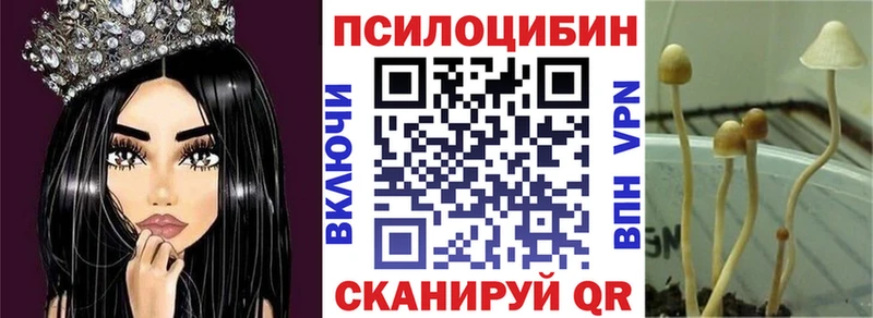 Галлюциногенные грибы Cubensis  Купить закладки  Краснокамск 
